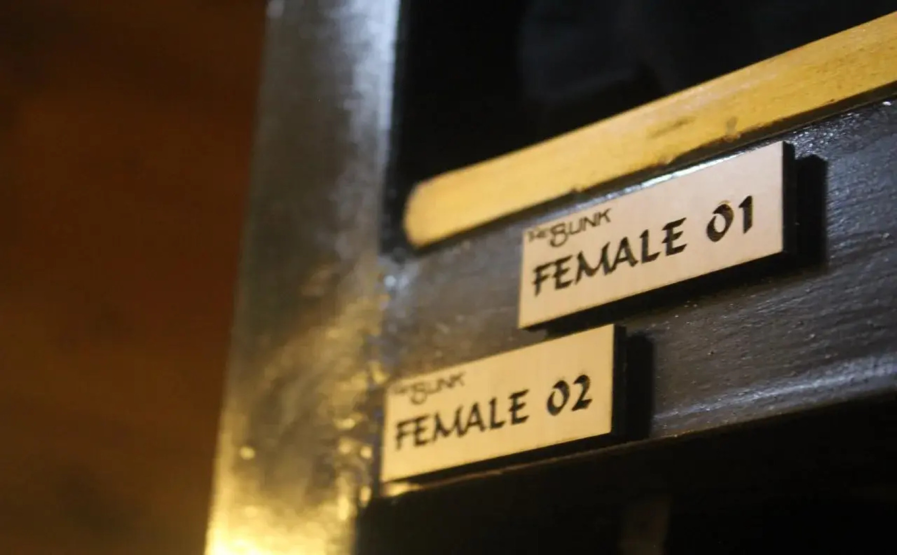 THE BUNK BACKPACKERS HOSTEL by fleur