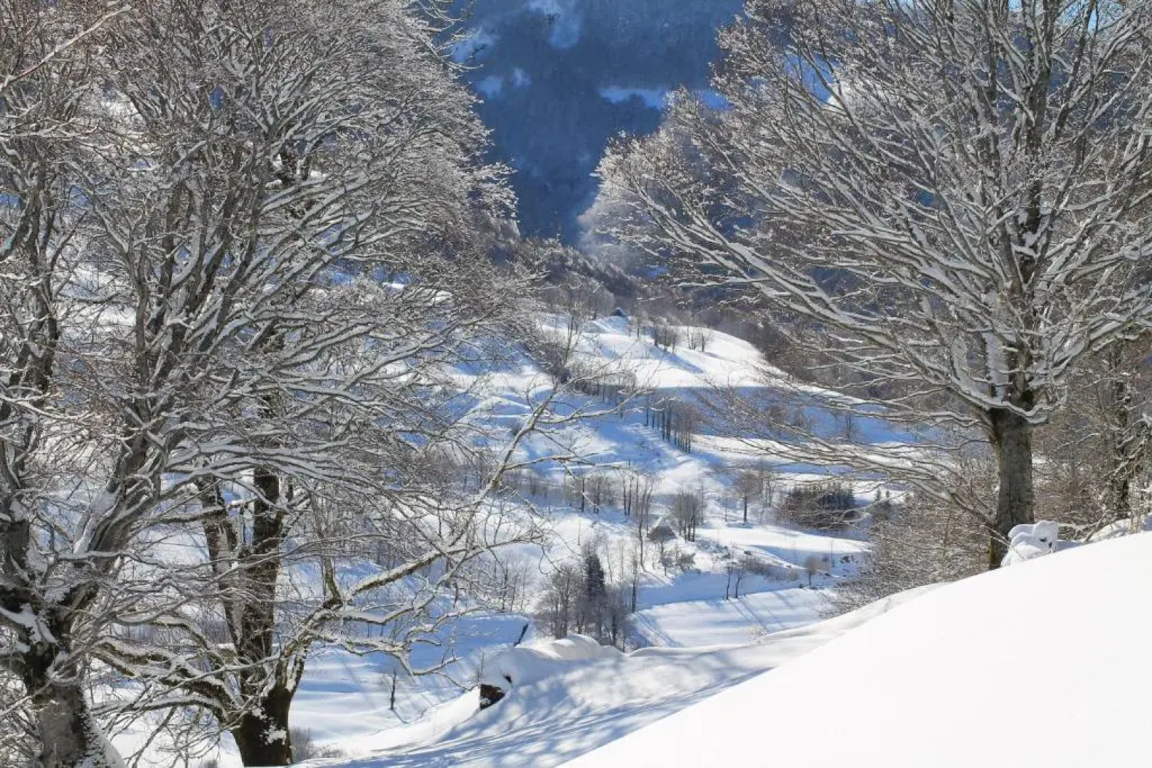 Hôtel Restaurant Aux Genêts dOr