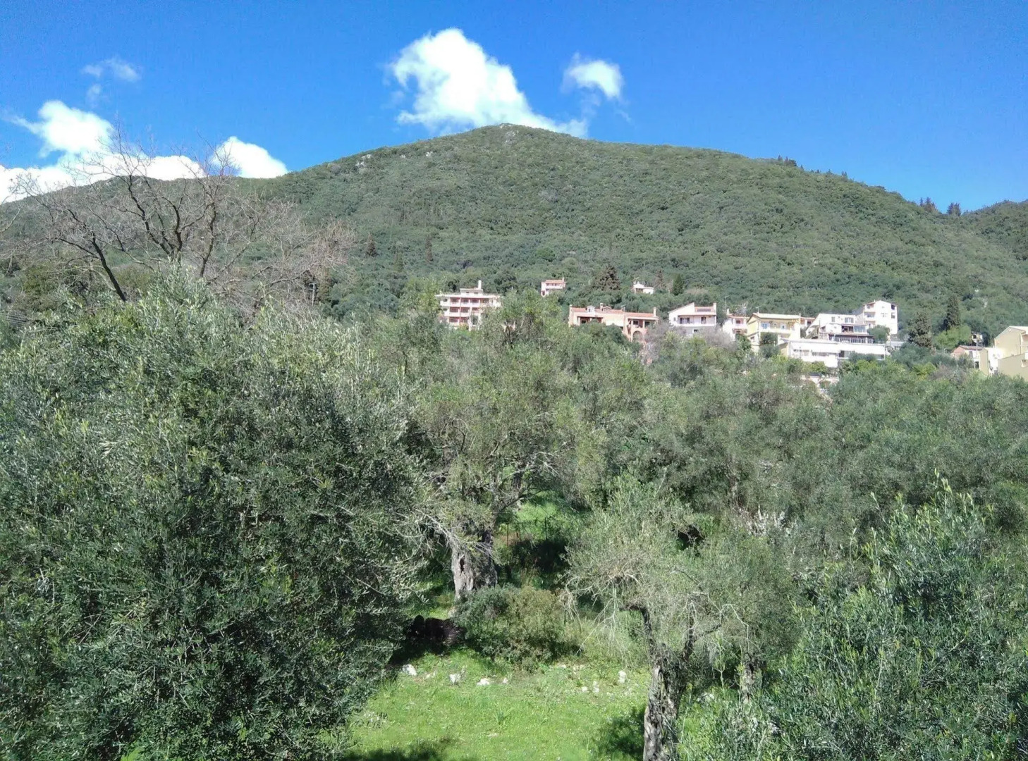 Comfy Hostel Studios