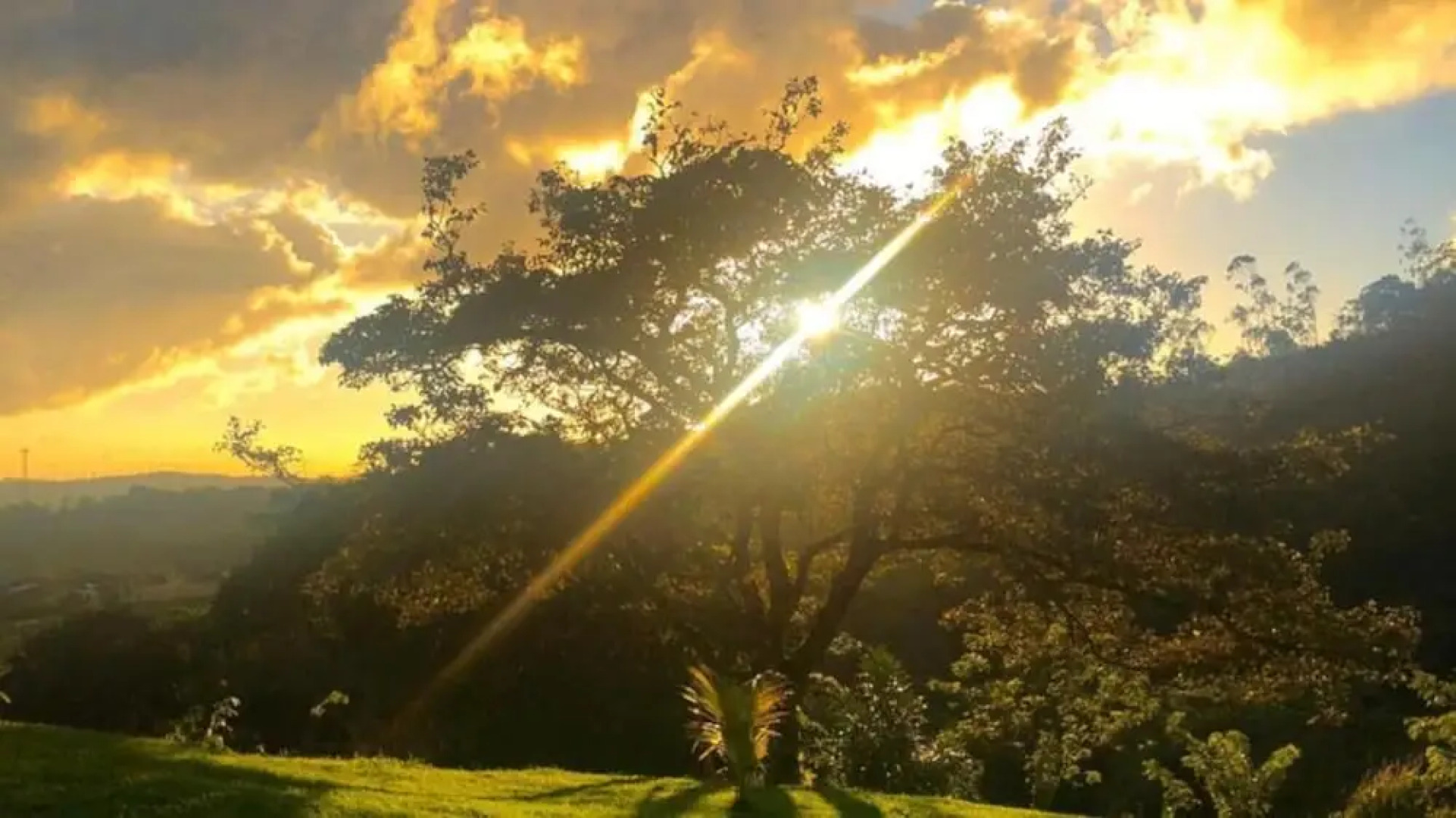 Refugium Silent Wings With Natural Pool