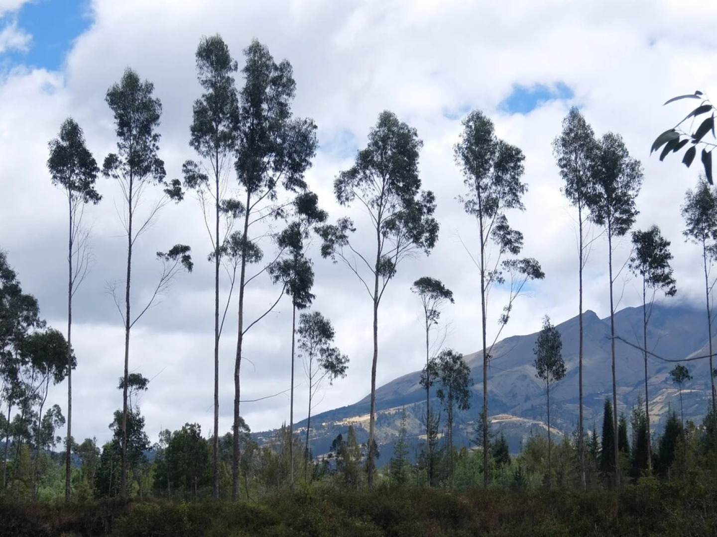 Refugio Terra Esperanza - Hostel
