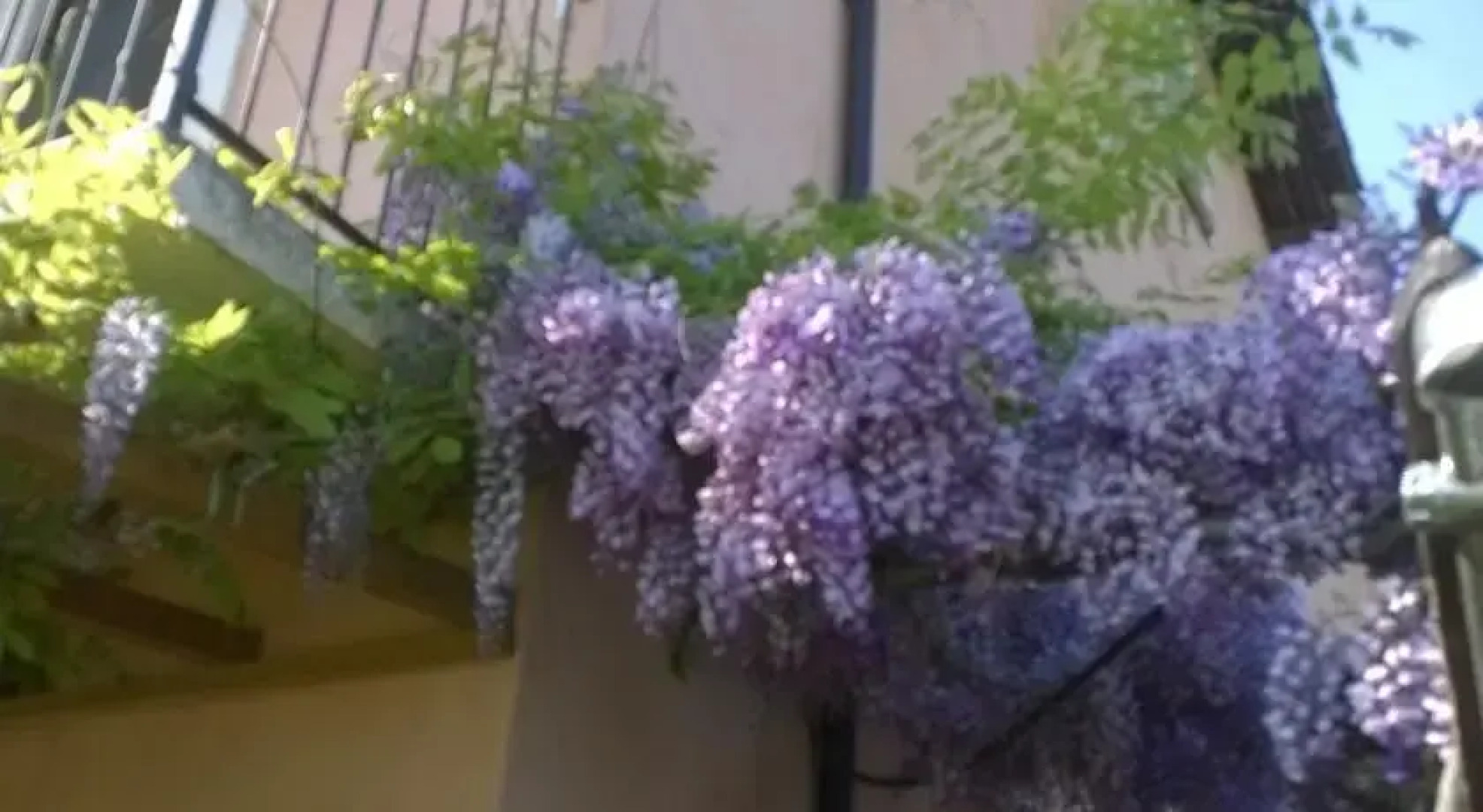 Bed & Breakfast Arpatè