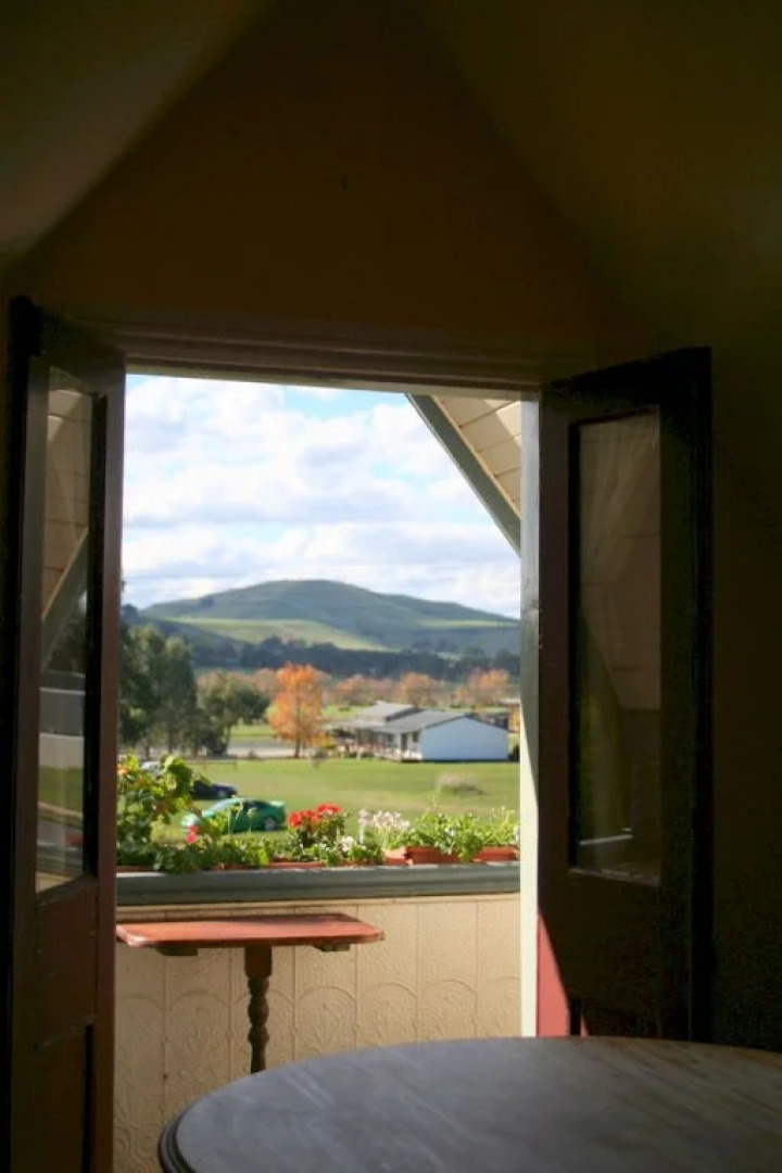 The Magnolia Mansfield