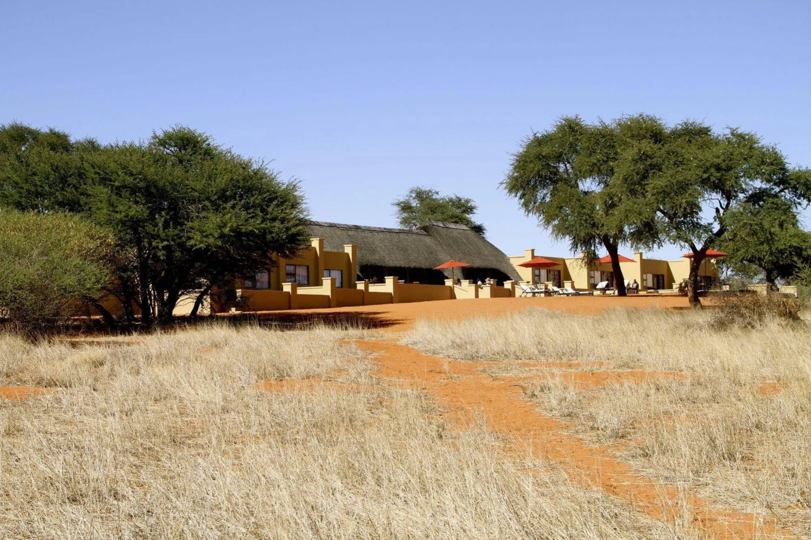 Zebra Kalahari Lodge