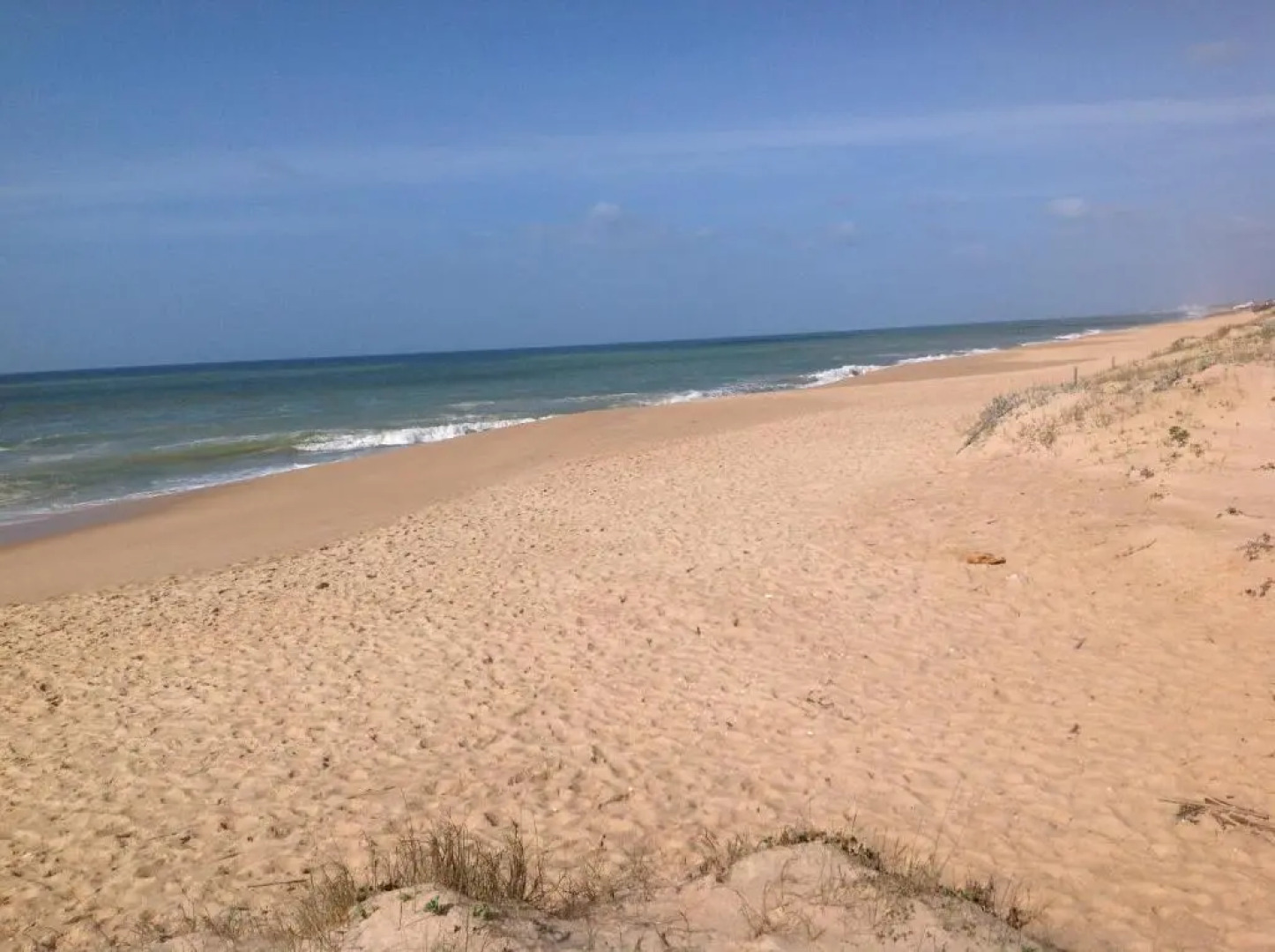 Apartamentos Barracuda