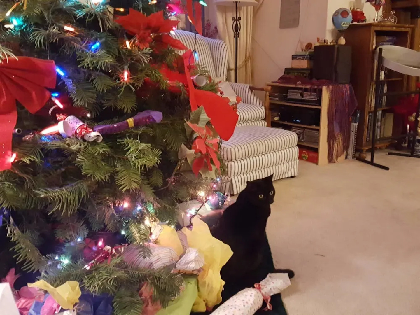 Hubers INN Port Townsend