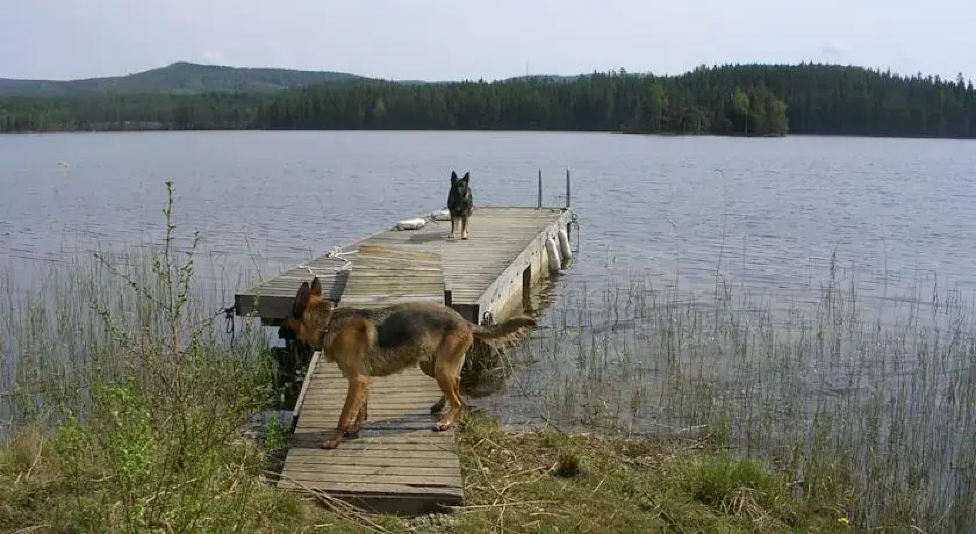 Vandrarhemmet Mårtensbo