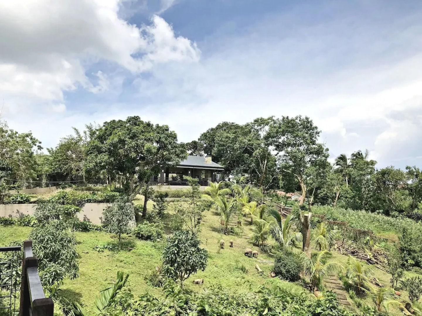 The Hill View Fishing Farm