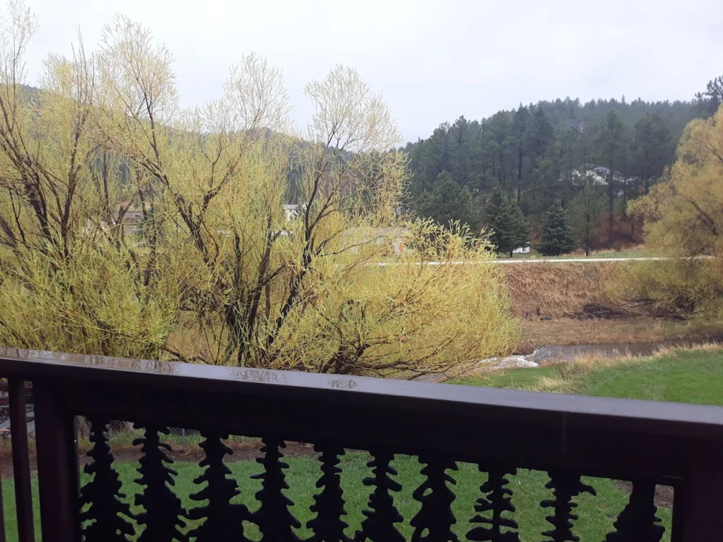 Alice's Black Hills Cottage