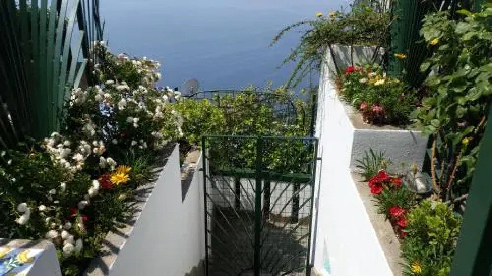 Le Cicale - Apartments