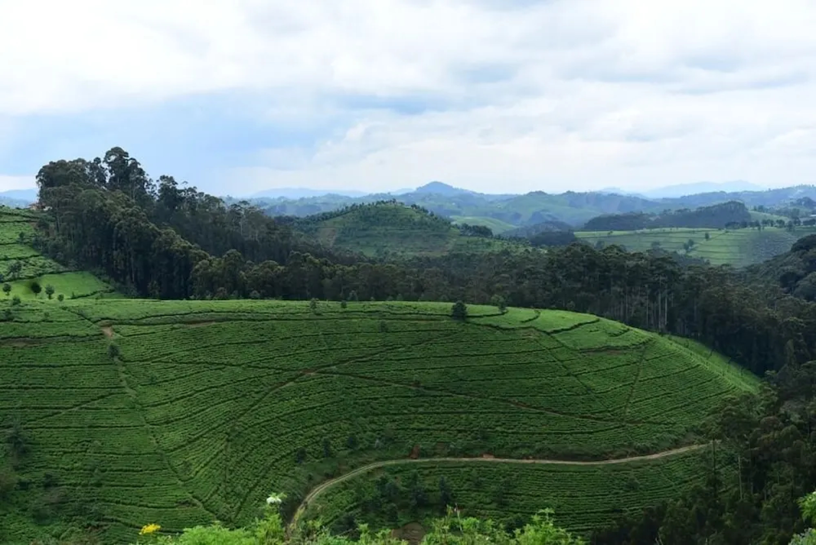 Nyungwe Eco Village