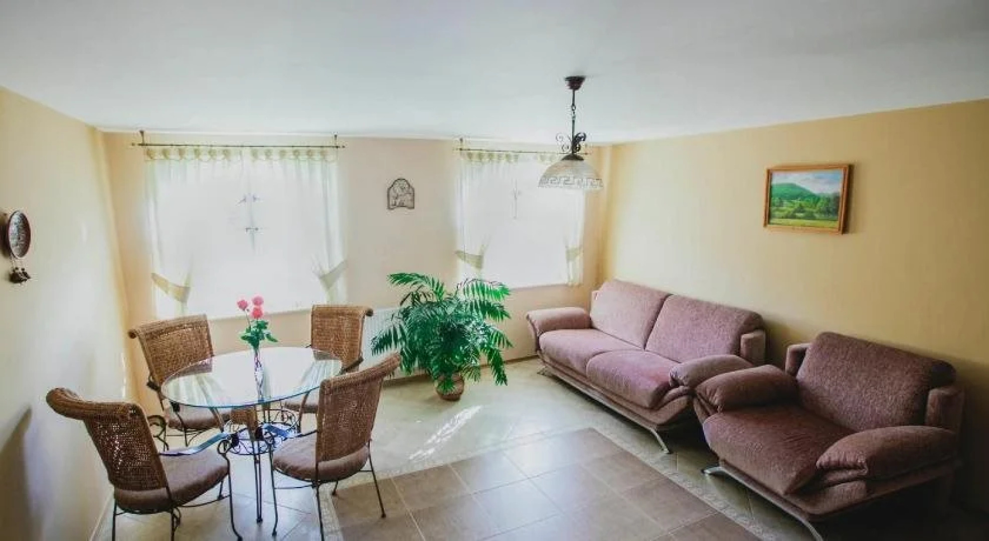 Червона Рута