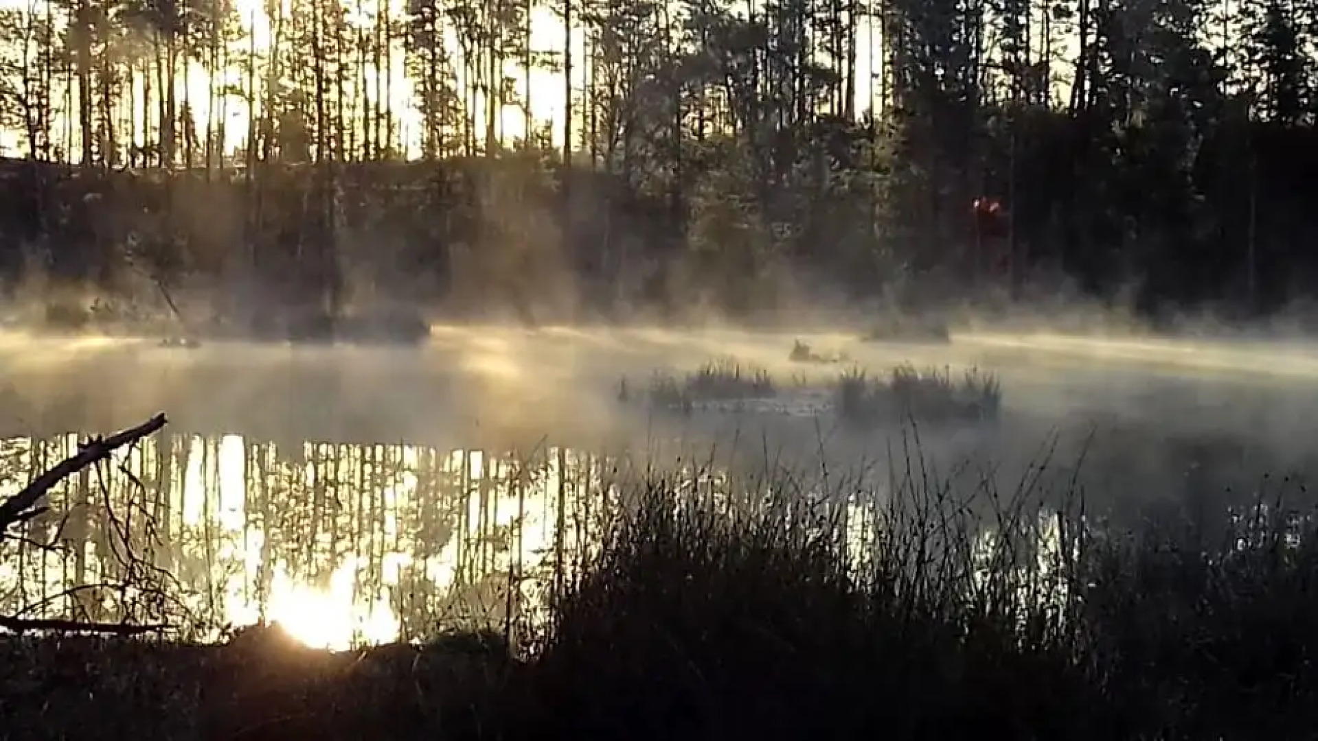 EKOLANDIA Domek na wynajem