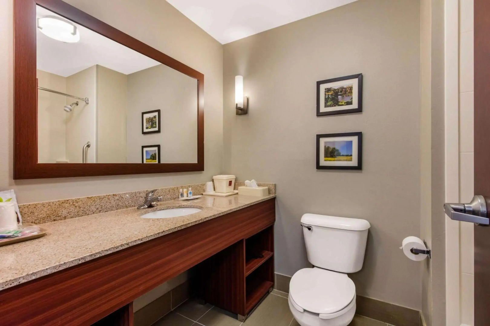 Comfort Suites Tuscaloosa near University