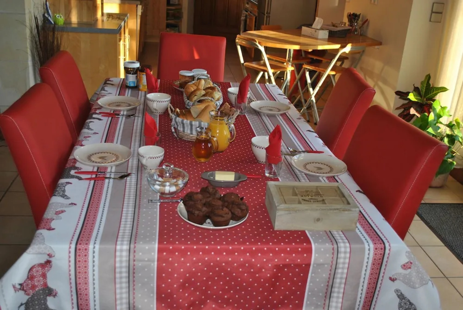 Le Tulipier de Virginie