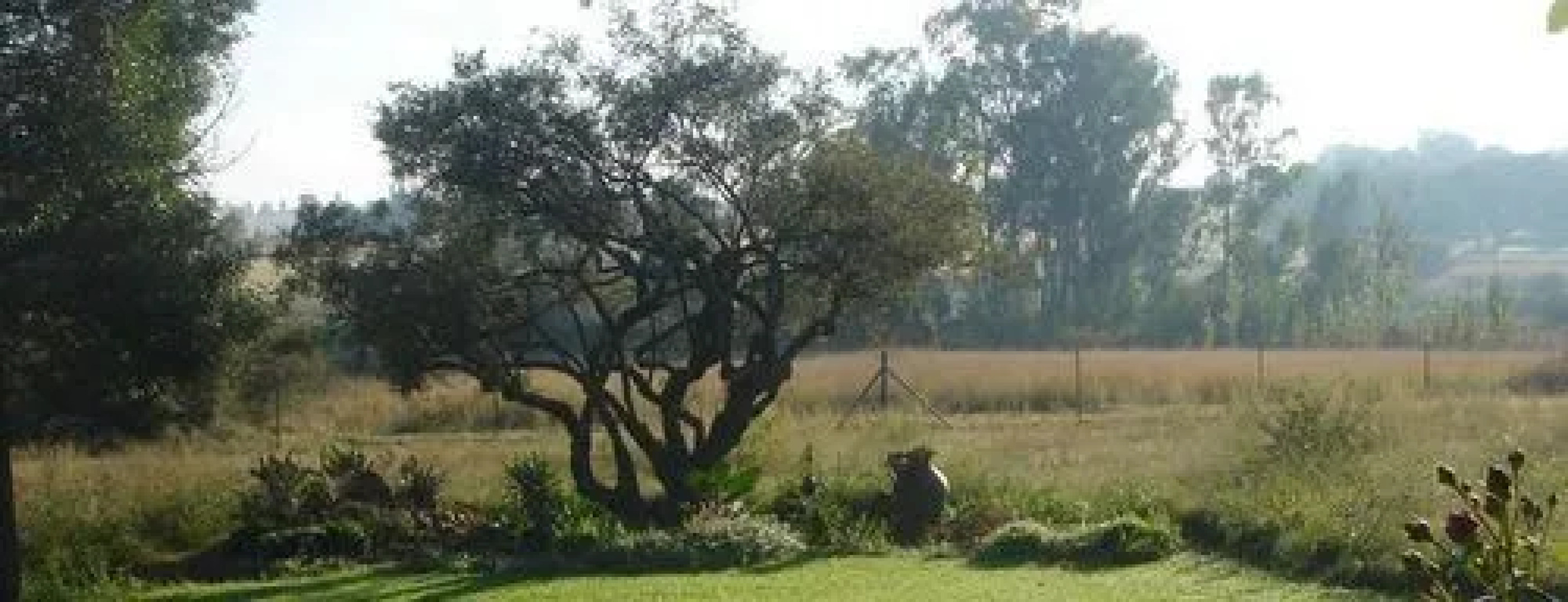 Hartley Manor Guest House