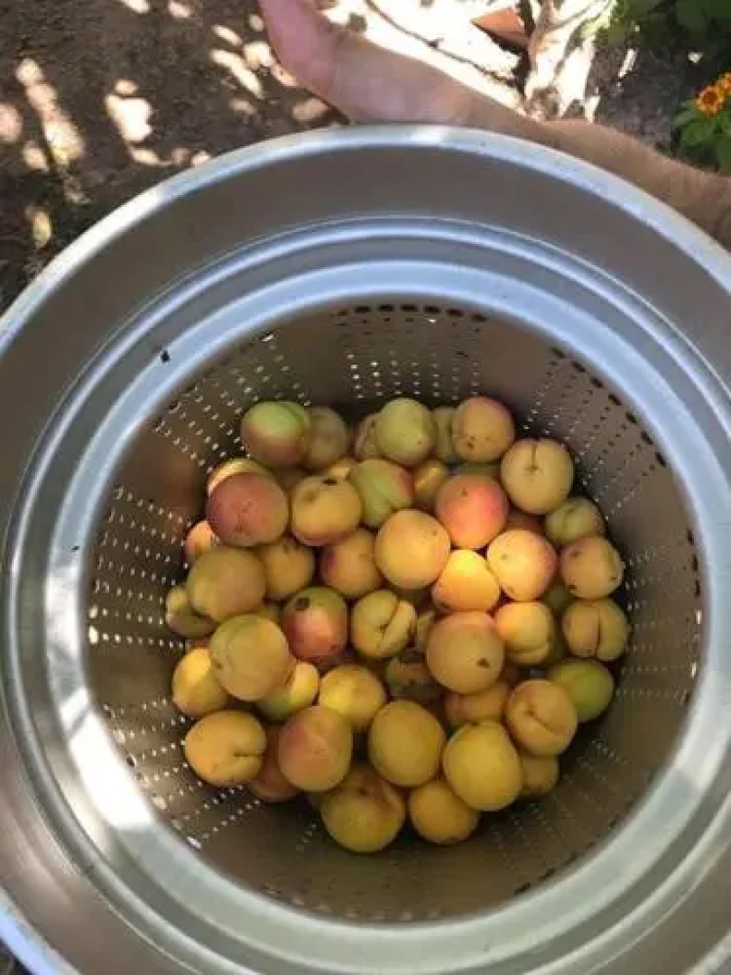 Descanso las Tres Marias
