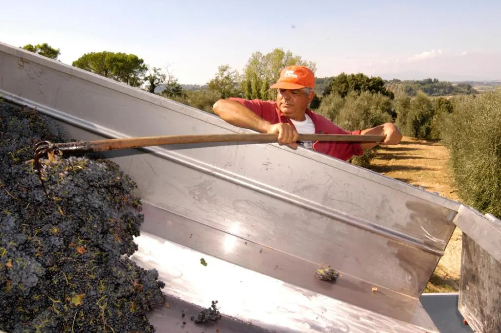 Agriturismo Il Selvino