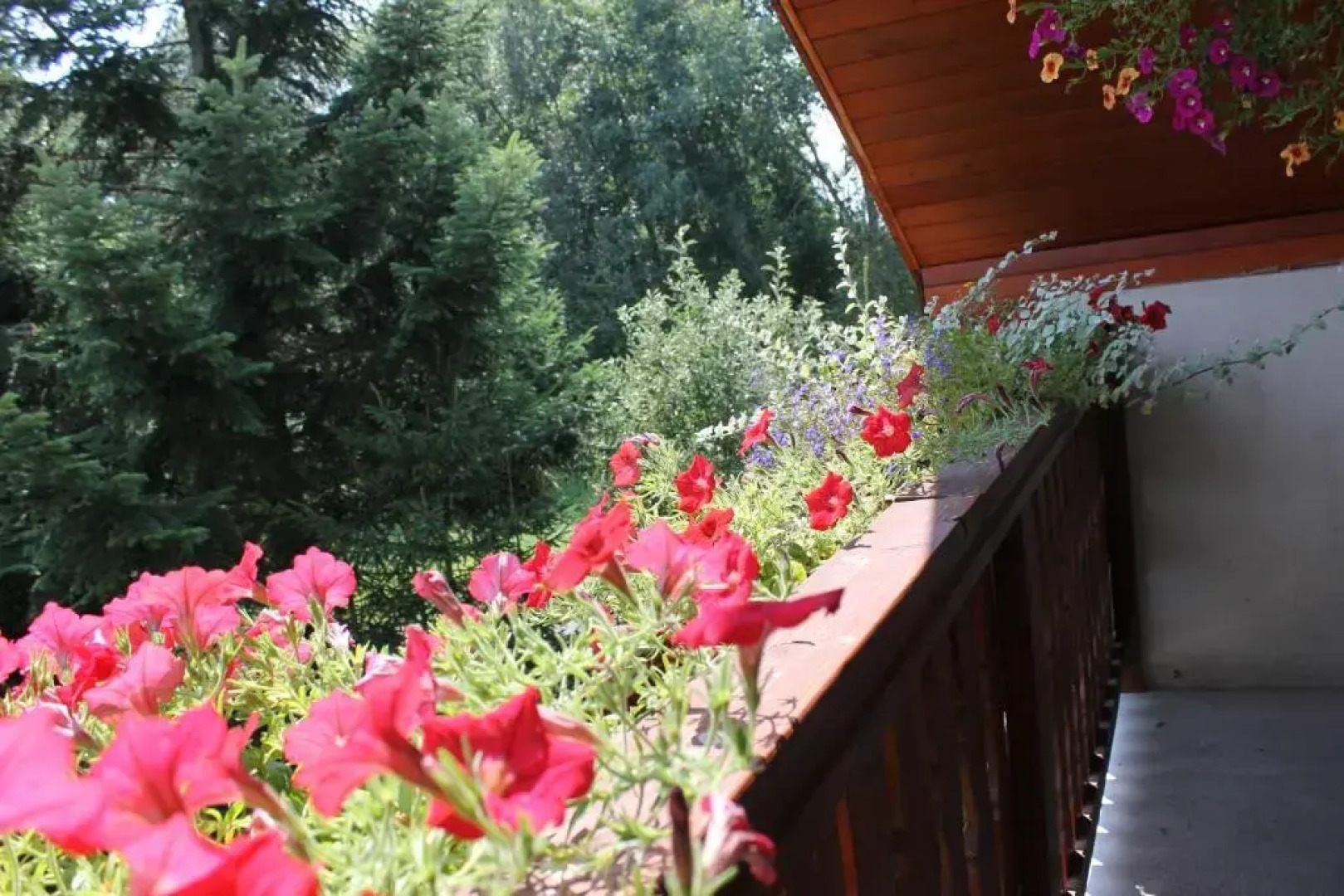 Ubytovanie Hugo Alžbetka