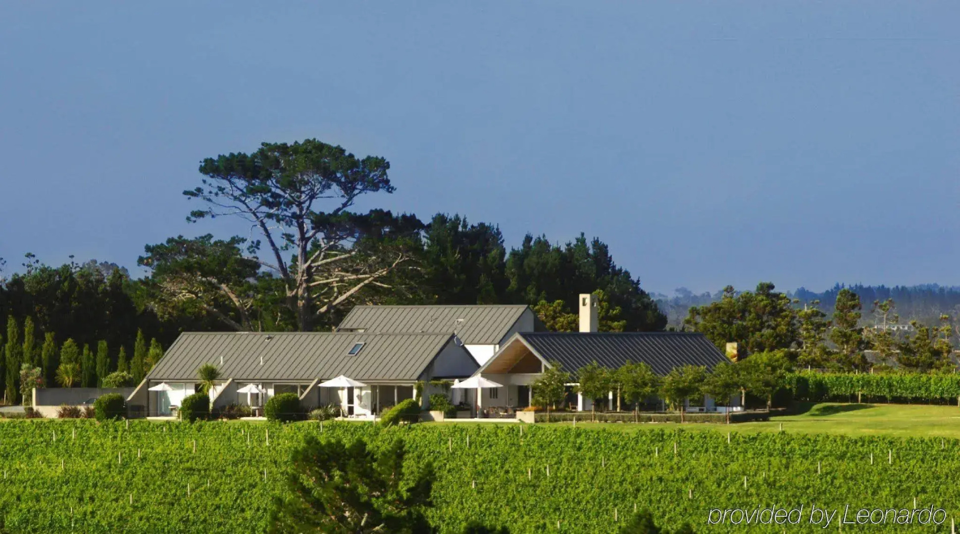 Takatu Lodge and Vineyard