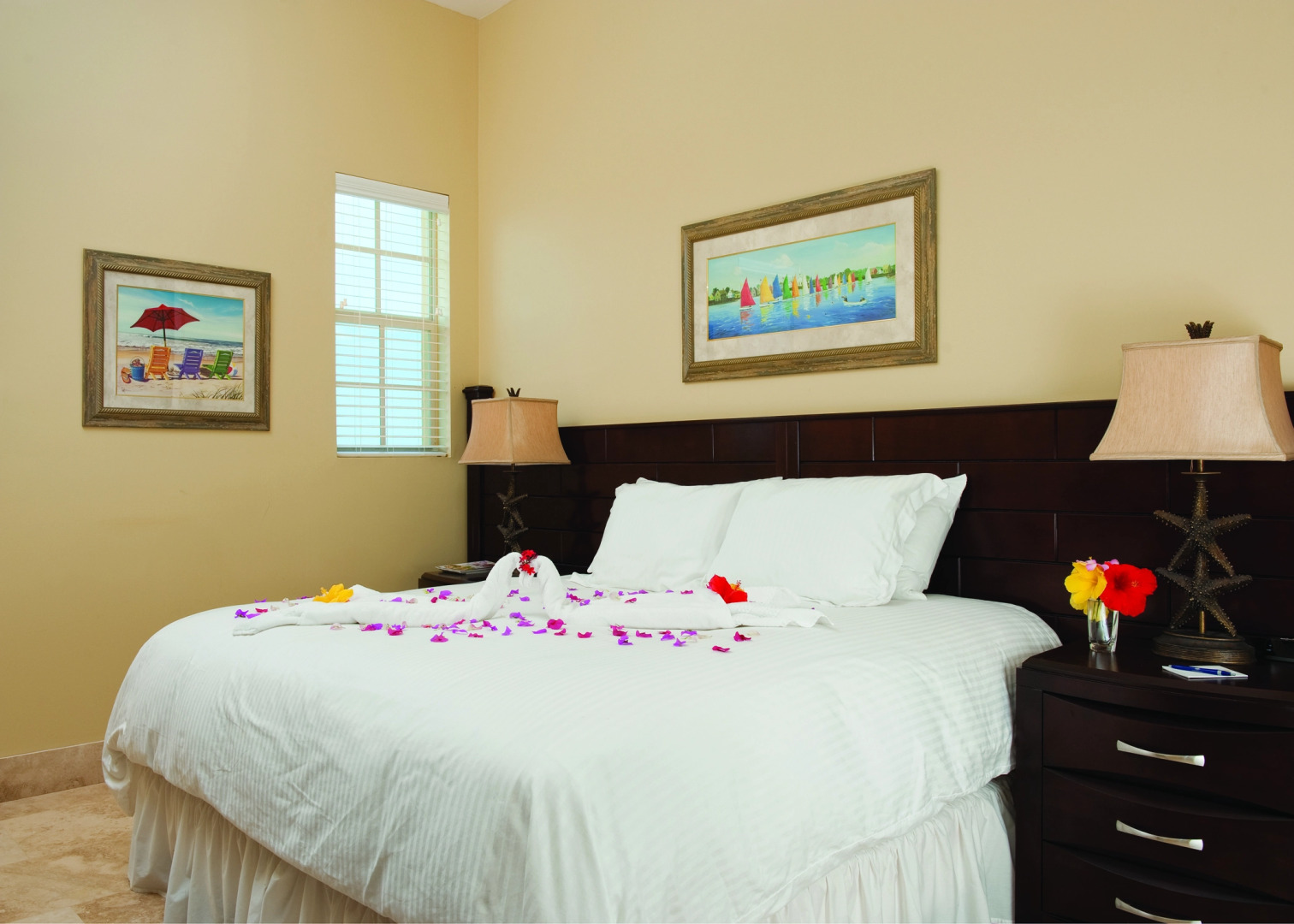 Windsong on the Reef