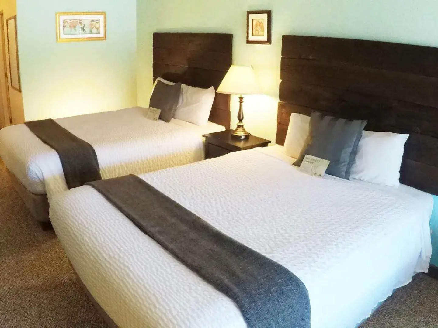 Mountain View Lodge and Resort