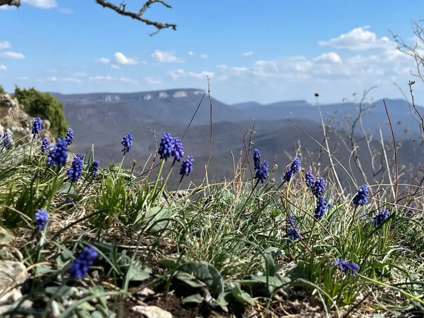 Ранчо в горах Лаго-Наки