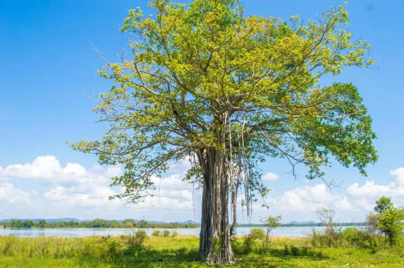 EKHO Lake Polonnaruwa
