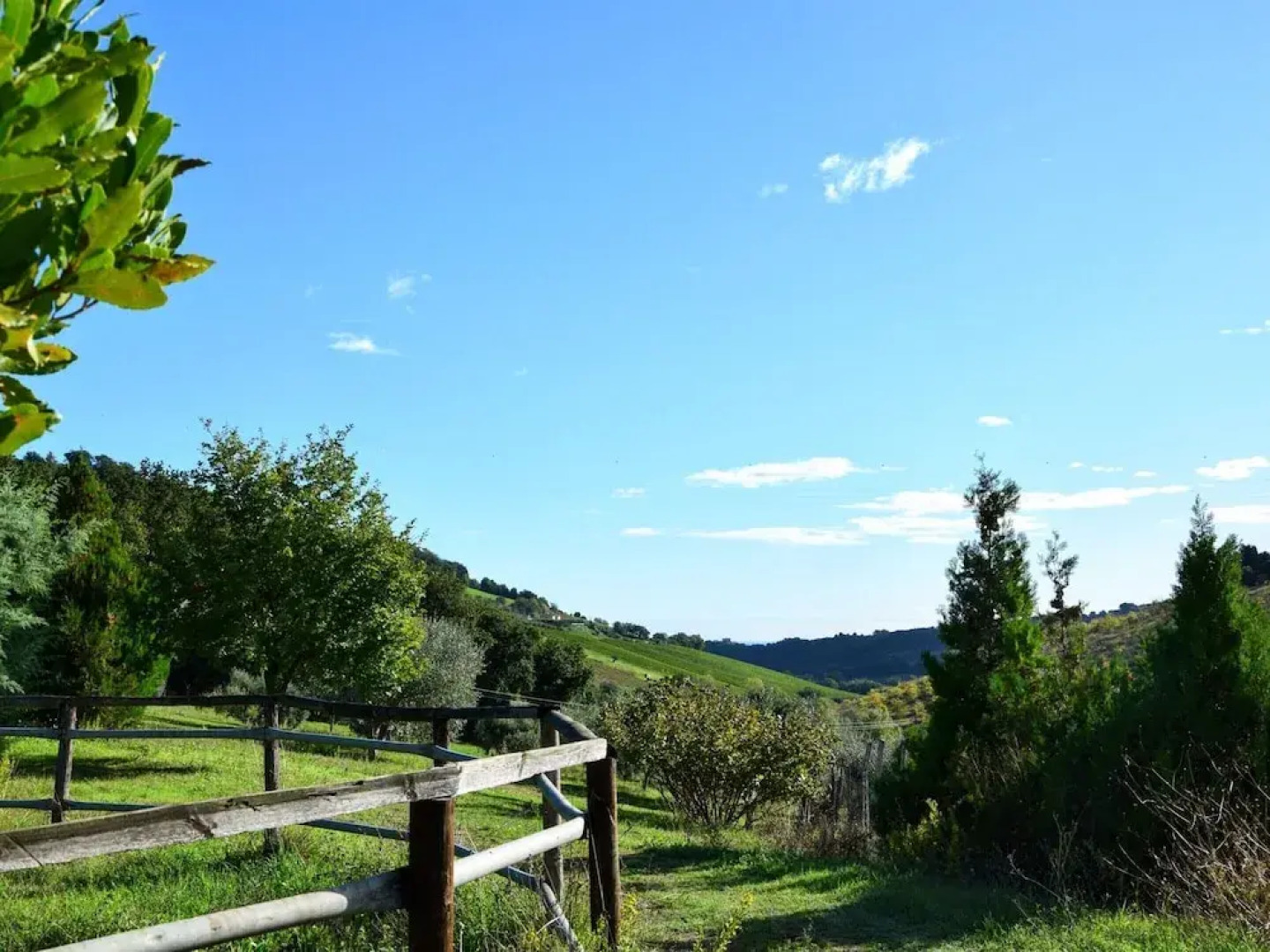 Apartment in a Farmhouse With Swimming Pool