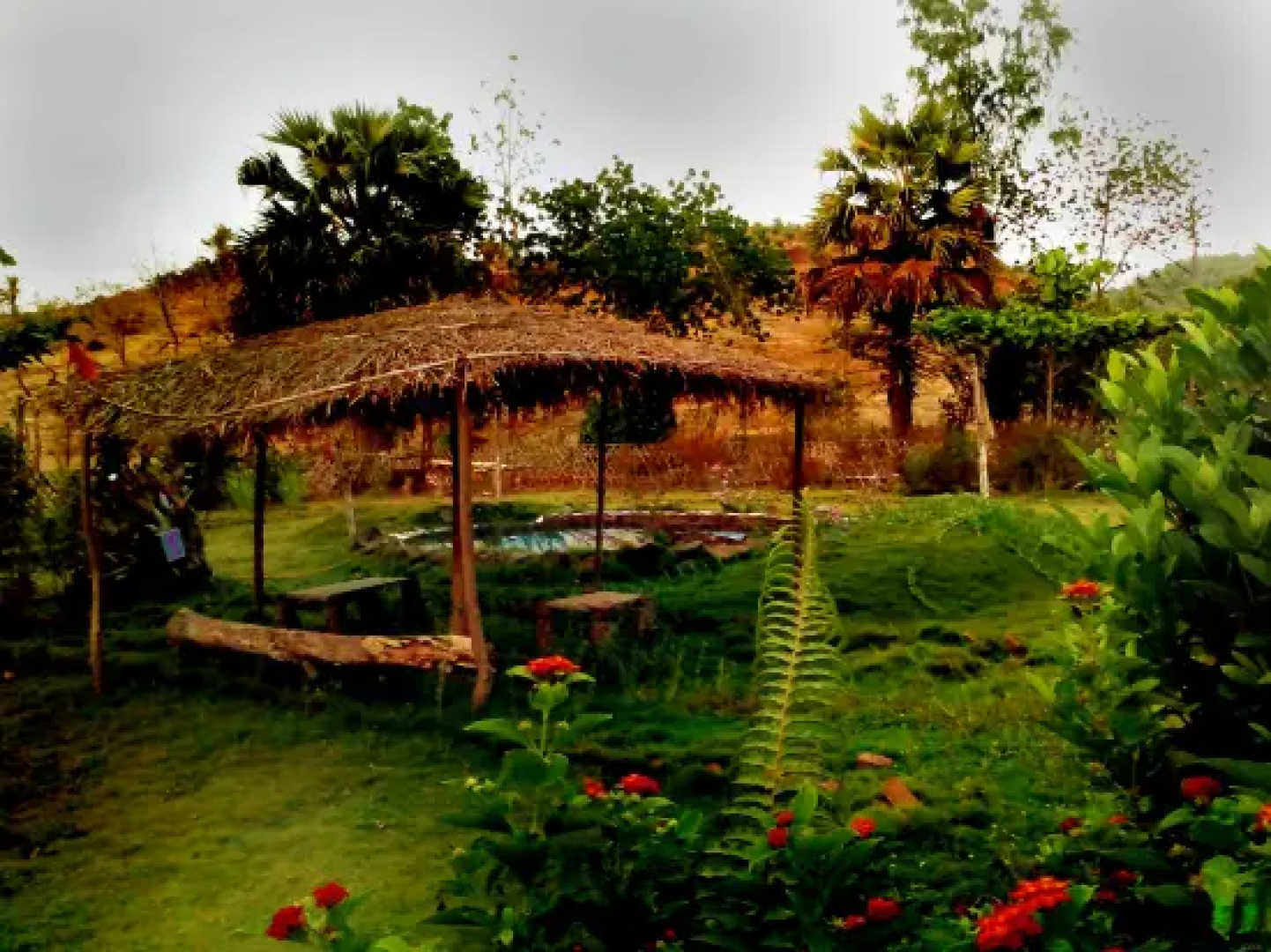Ecowoods Agrotourism
