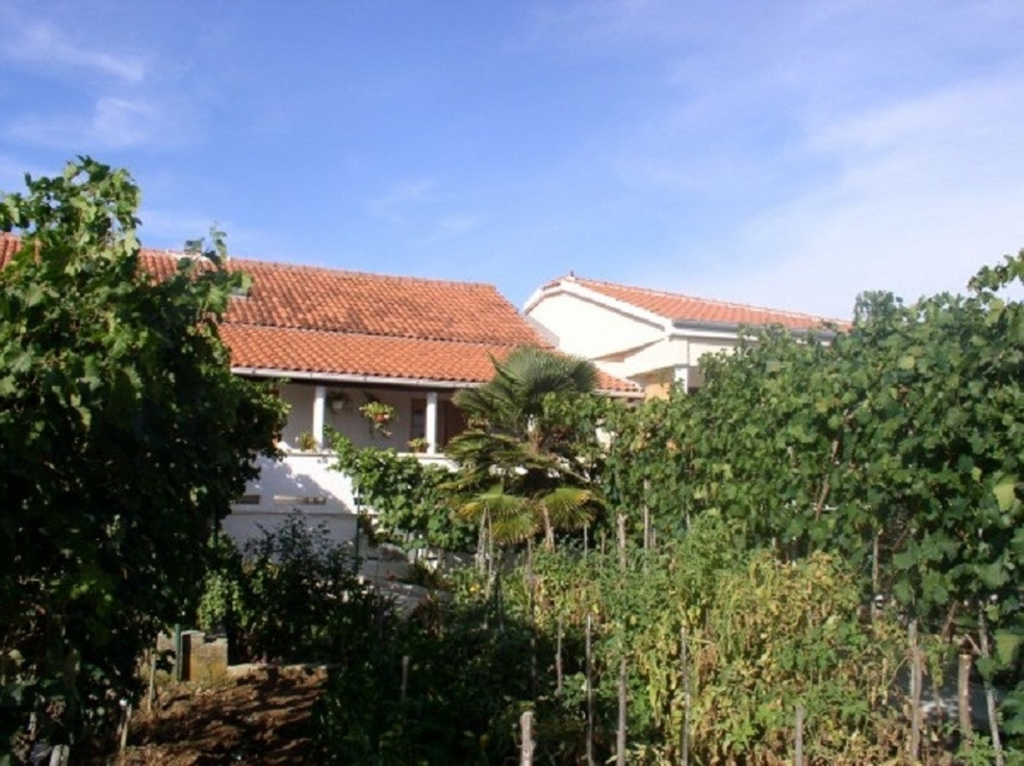 Studio apartment Kuzma - afordable SA3 Nin, Zadar riviera