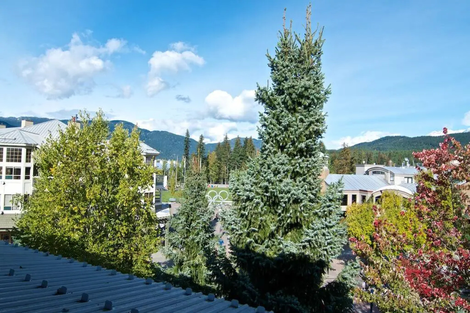 Whistler Village -  Best location - spacious - Village stroll - Walk to lift - bars - restaurants - grocery store - liquor store Deer Lodge 341
