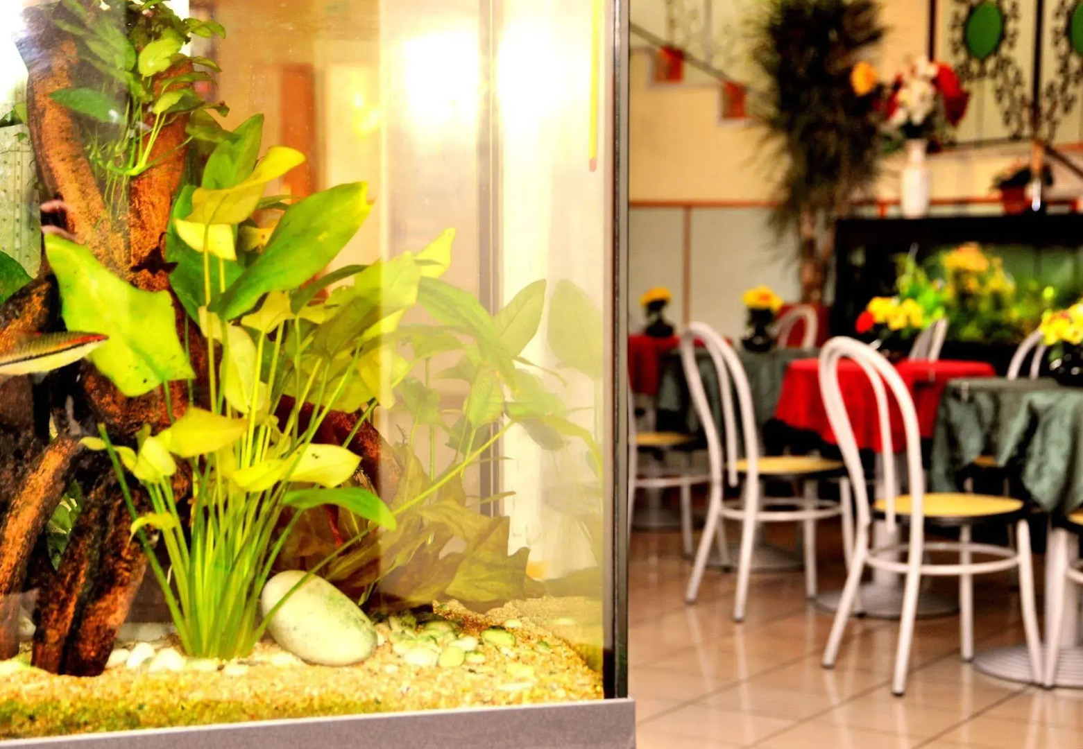 Hotel San Siro Fiera