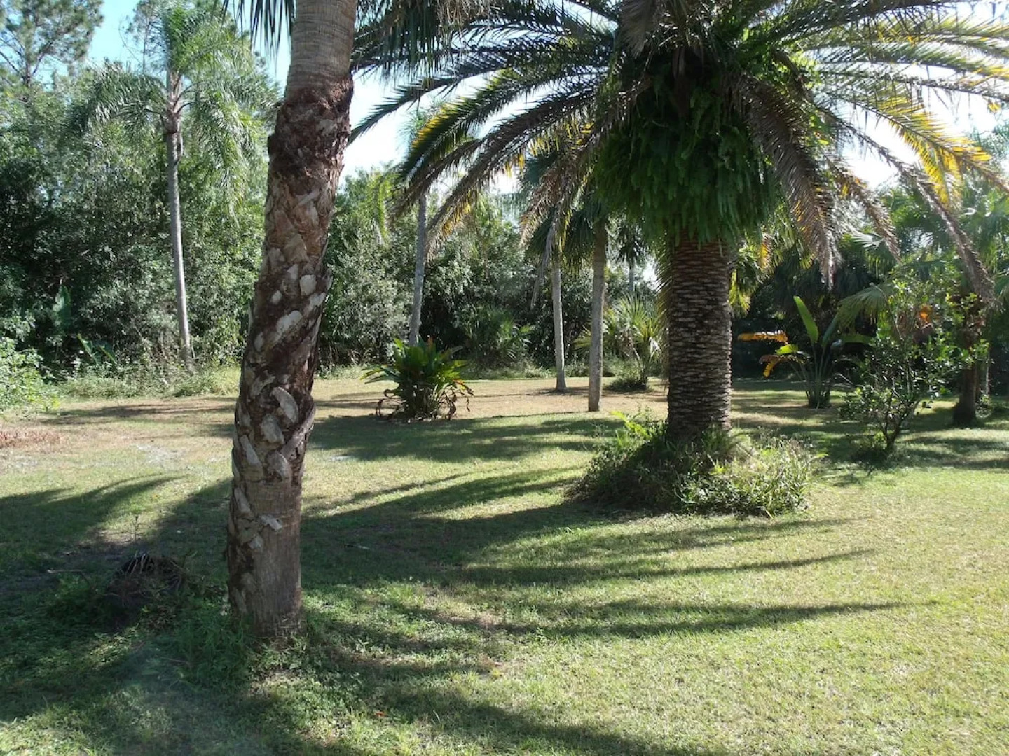 Villa Paradise 22 Pool Lehigh Acres Florida