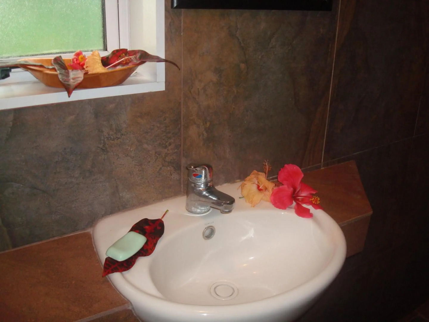 Gecko Lodge Fiji Private Hotel