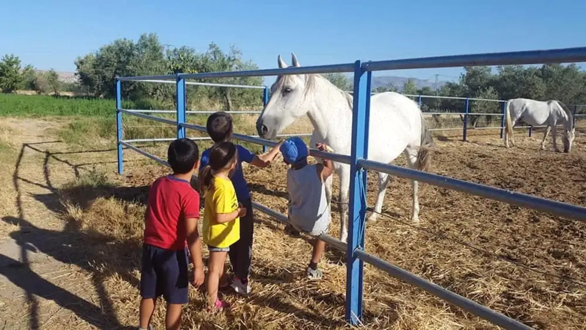 Chalet With 7 Bedrooms in Baza, With Wonderful Mountain View, Private