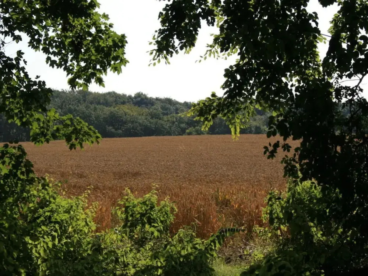 Quellenhof Comfortable Holiday Residence