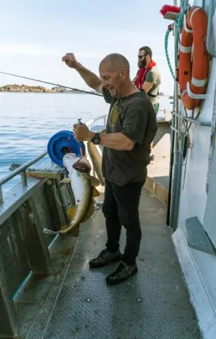 Live Lofoten Fishermen's Cabins
