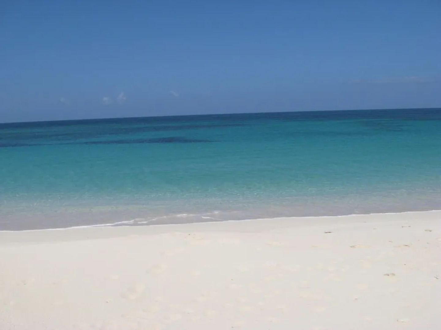 Buttonwood Reserve 1B