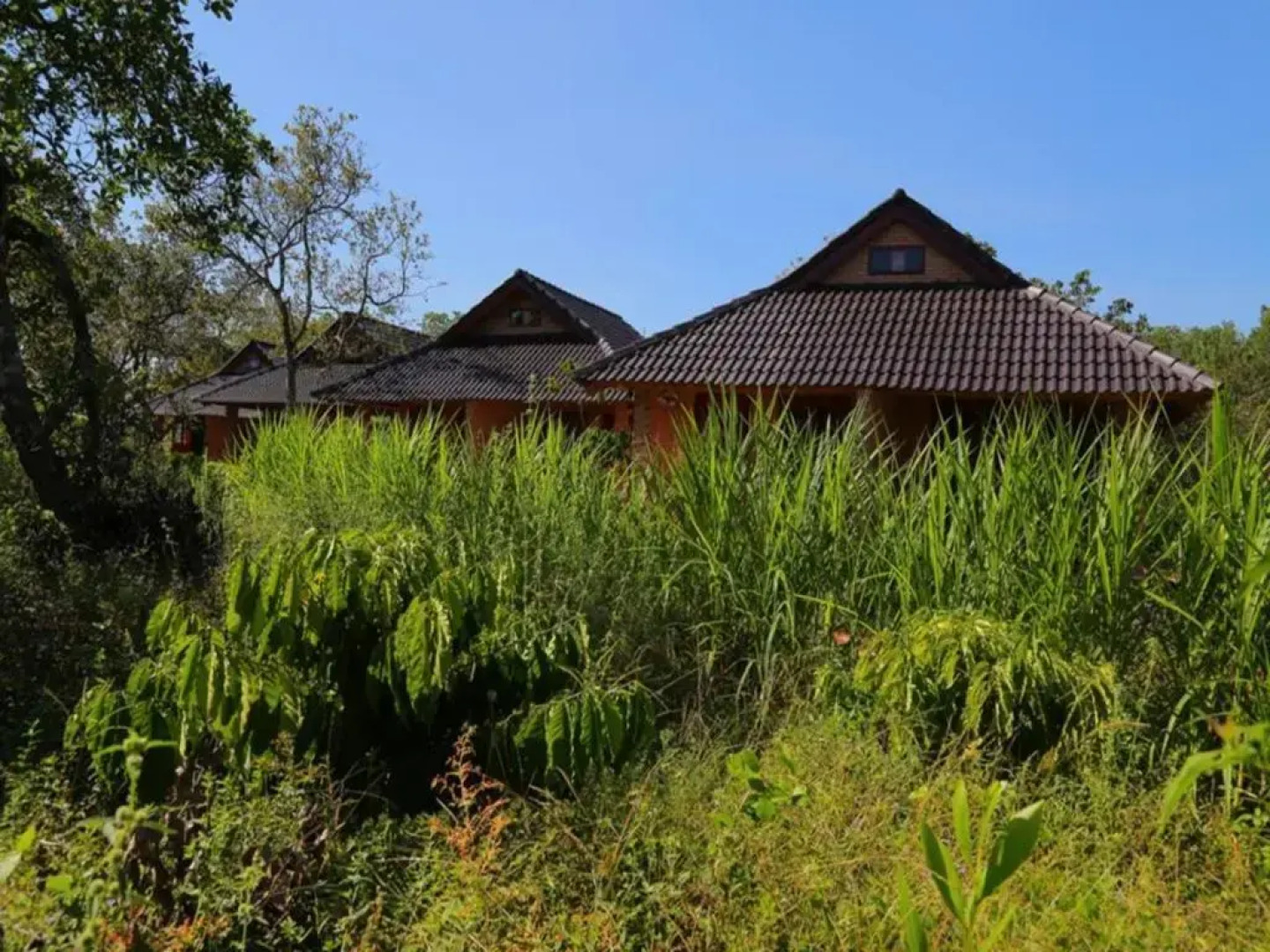 Cat Tien Forest Call Lodge