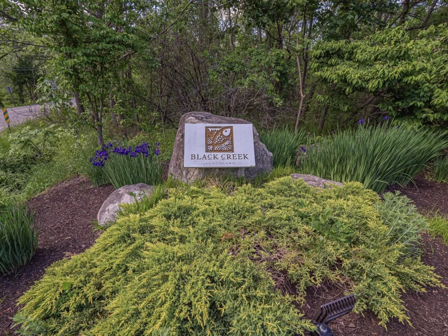 Condos within The Black Creek Sanctuary by GTL Properties