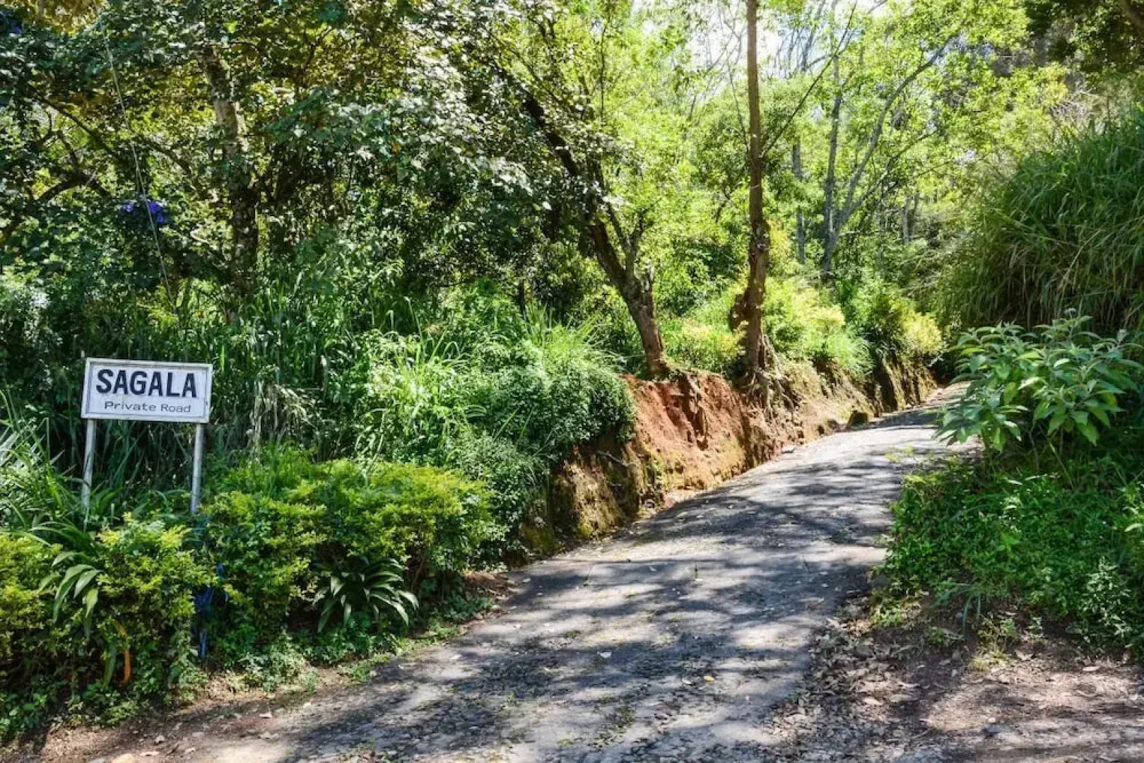 Sagala Bungalow