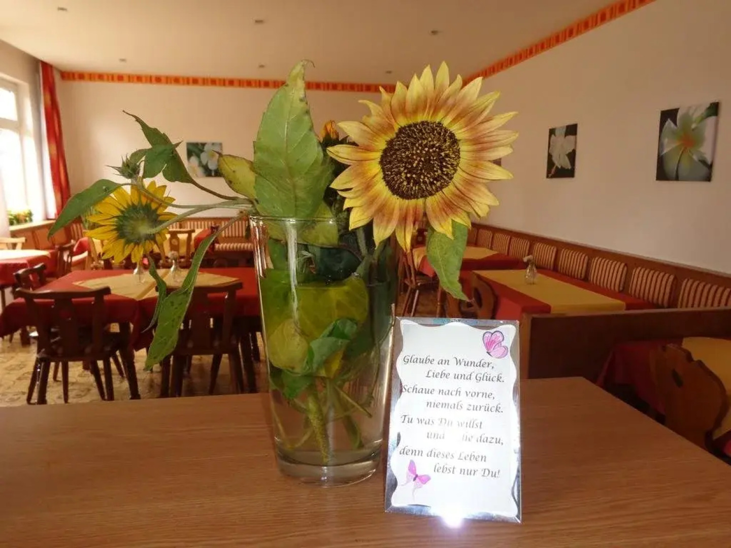 WohlfühlPension IllmitzerHof