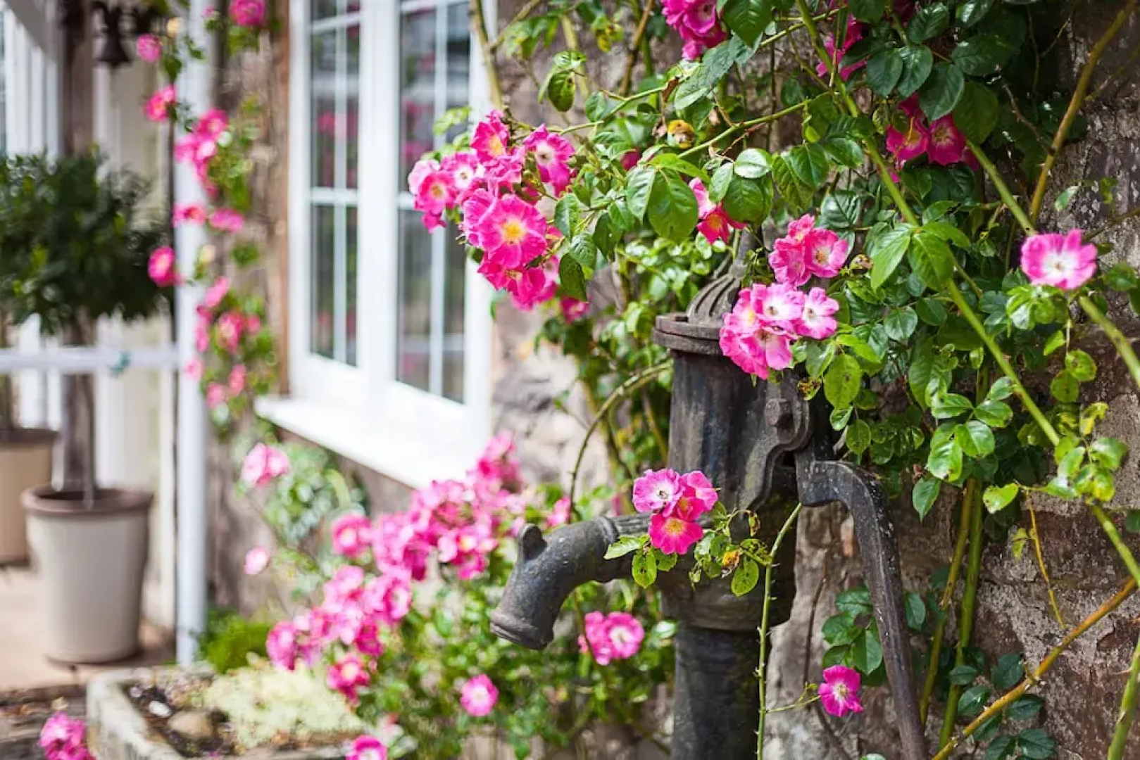 Stoodleigh Court Coach House B & B