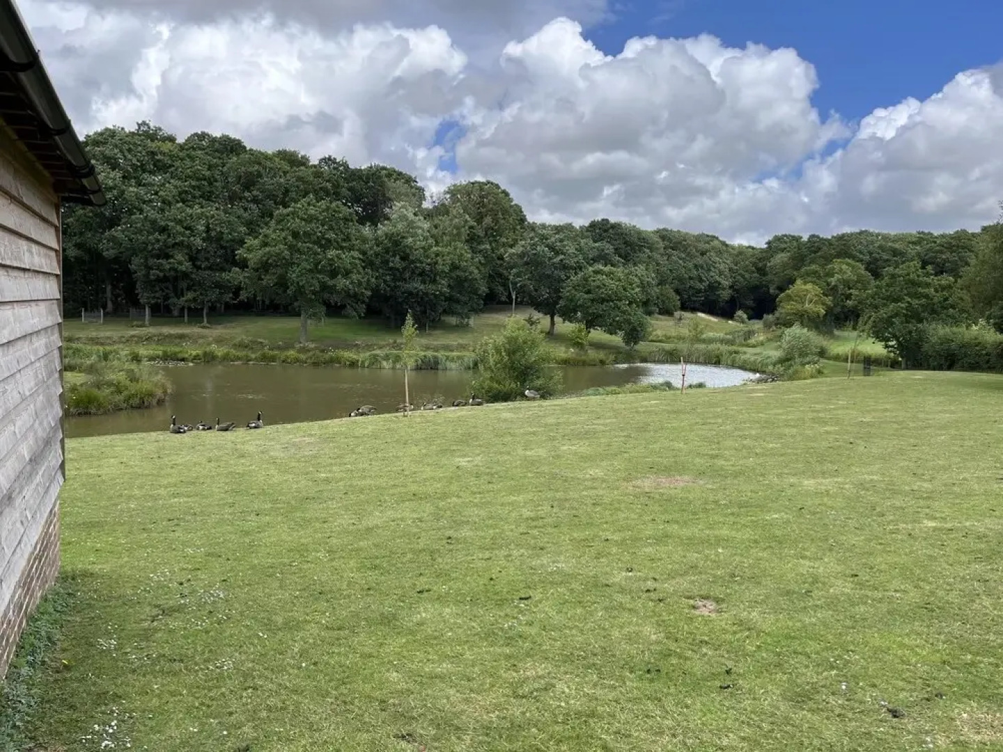 Lovely 1-bed Cottage in Rural Cowbeech Hailsham