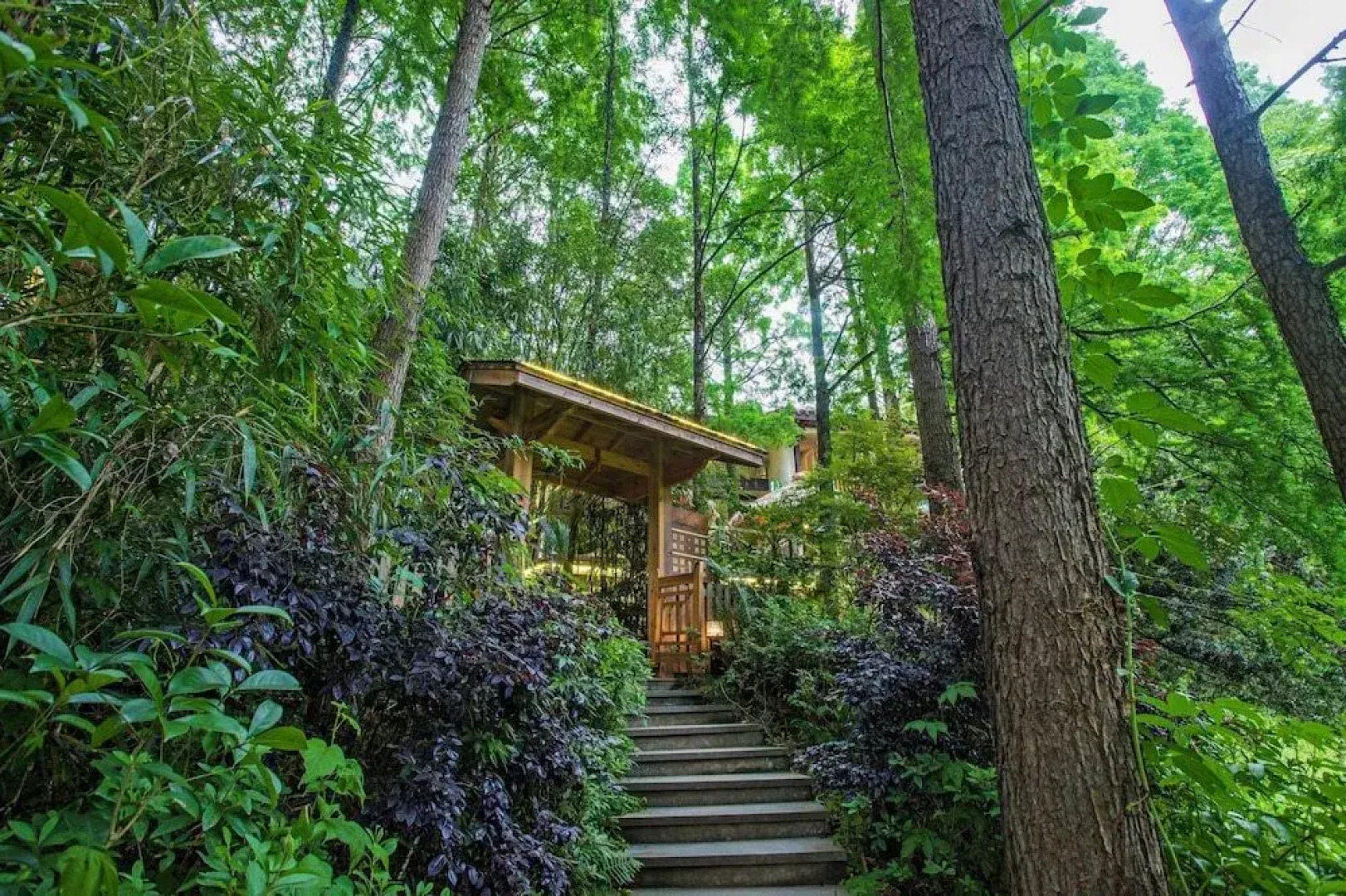 Wuyishan Old Street Sen Live British Inn