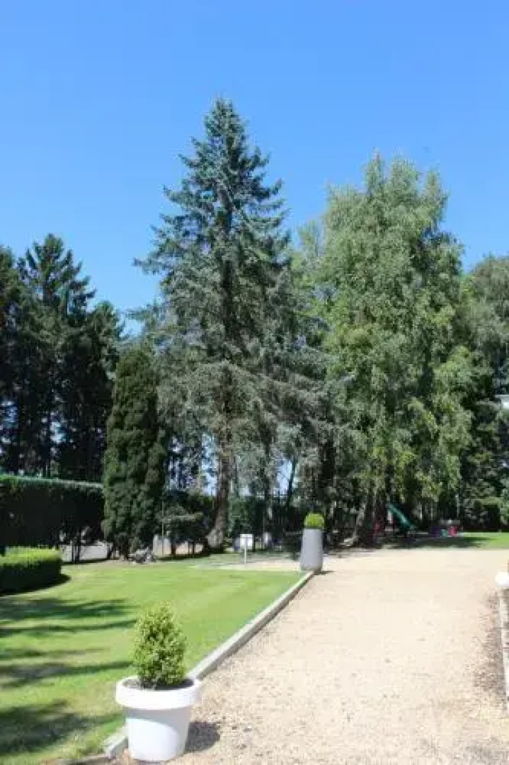 Domaine Du Haut Vent