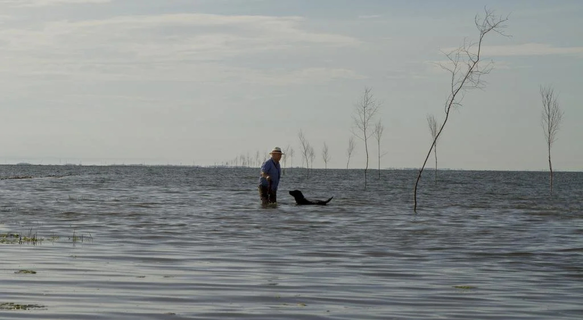 Restaurant Vadehavet Mandø