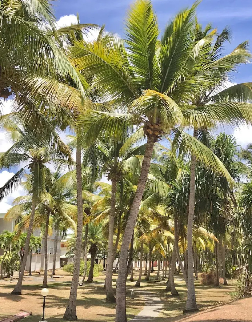 Ti. Maanga vue mer et pieds dans l'eau