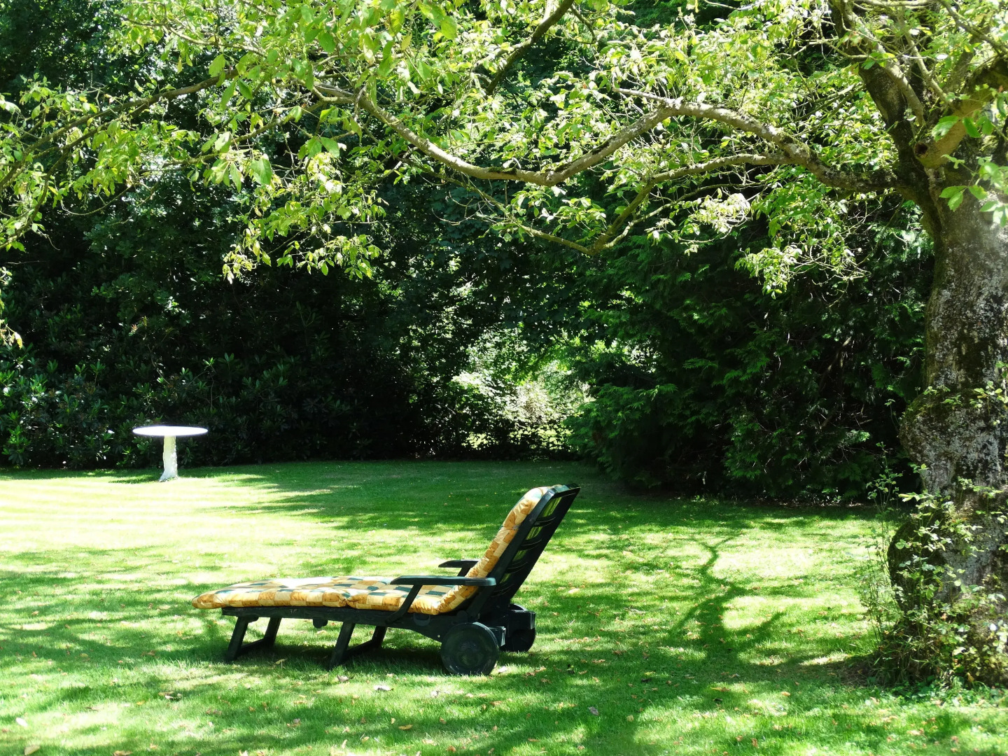 B&B Castel 't Haantje